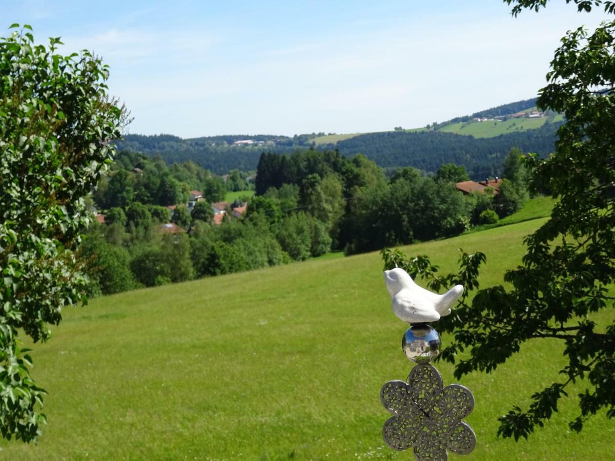 Fewo Gabi Neuschonau Bagian luar foto